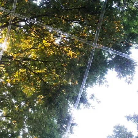 Atmosfera Bubble Glamping * Satriano di Lucania